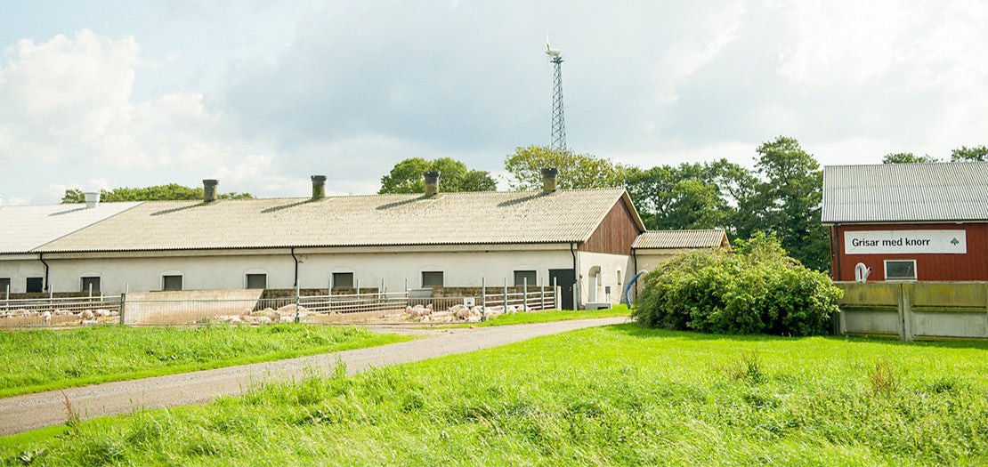 Våra krav på grisuppfödning
