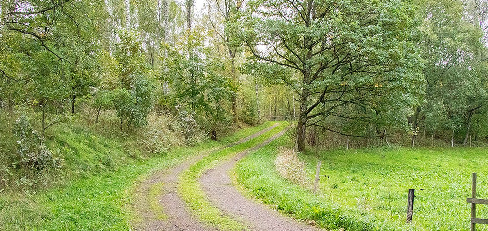 Carl & Oskar Kjell, Finsbo gård