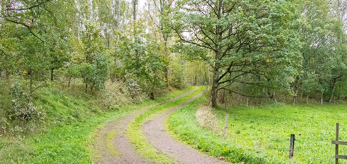 Carl & Oskar Kjell, Finsbo gård