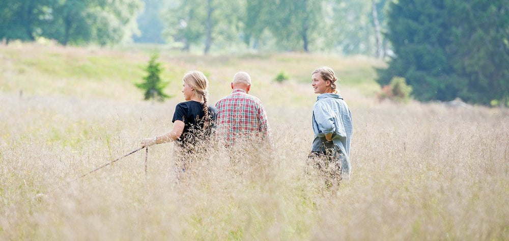Familjen Cavallin, Kored Alboga