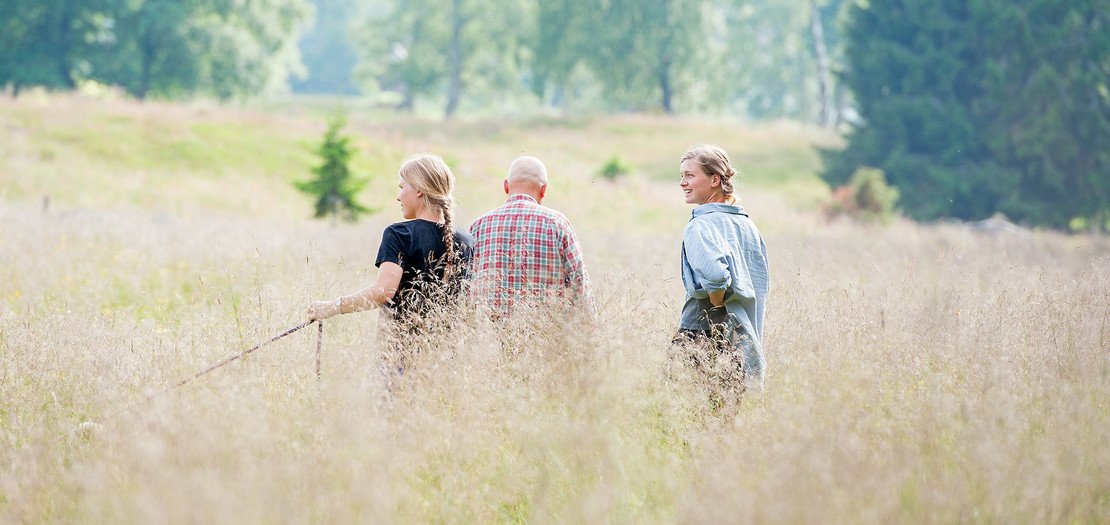 Familjen Cavallin, Kored Alboga