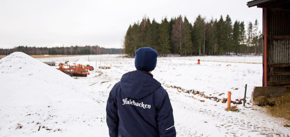 Kristina & Johan Jacobsson, Halebackens gård
