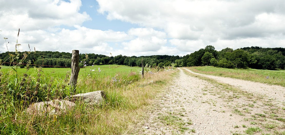 Bertil Edvinsson, Björsgård