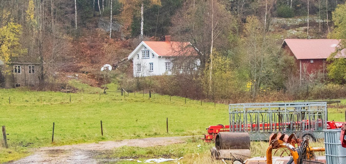 Simon Olsson, Björfjäll