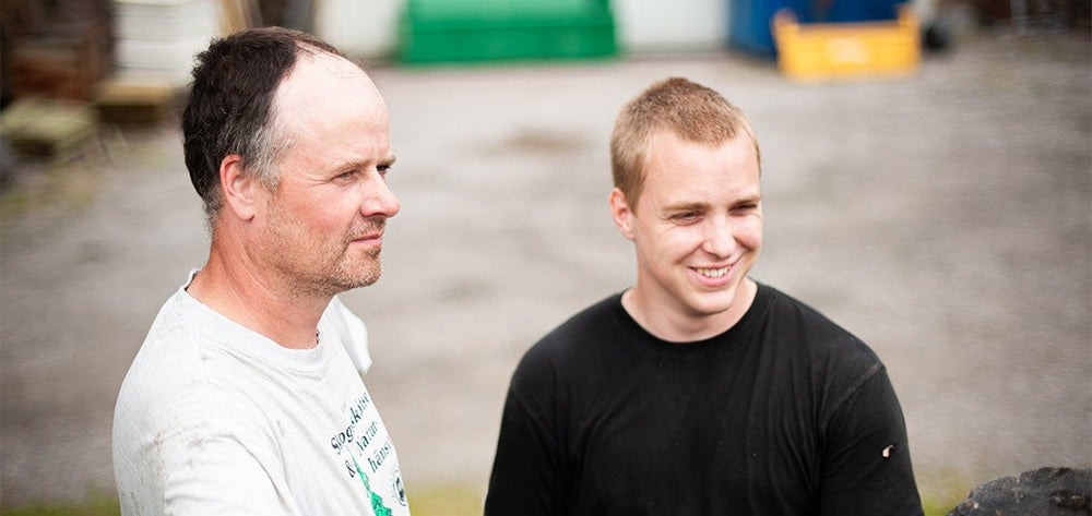 Familjen Stegard, Elfhems gård