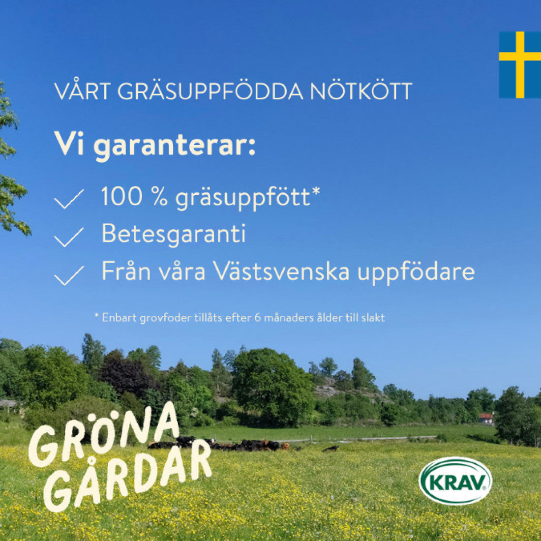 Nötfärsbox 5% (färskfryst)