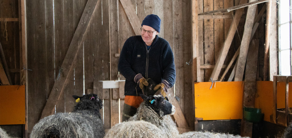 Magnus Vinqvist, Tån