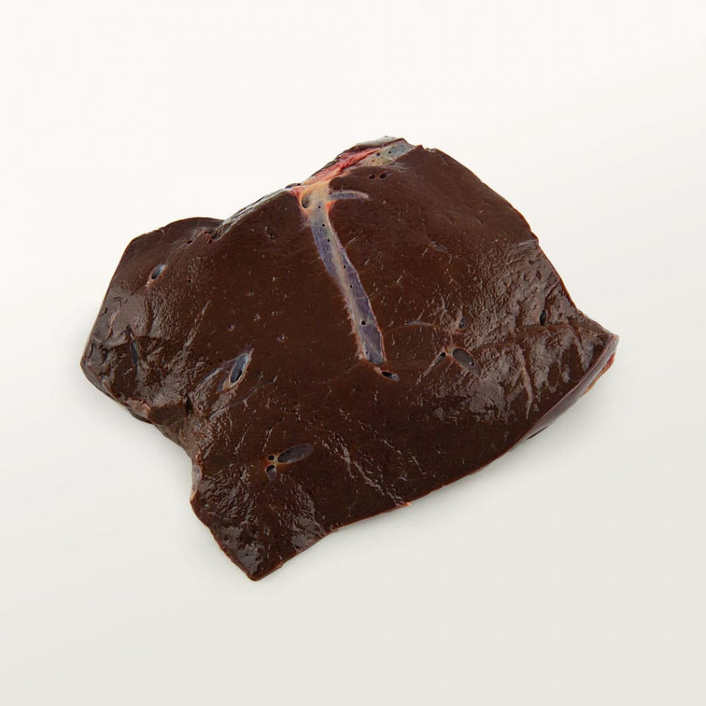 Nötlever